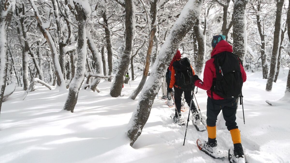 FOTOS | Sierra Colorada: el creciente atractivo invernal de Trevelin