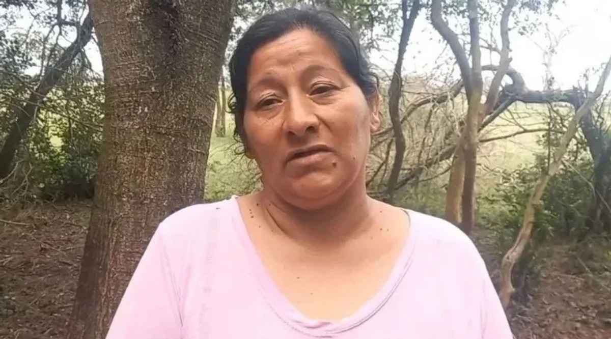 caso Loan, Laudelina Peña, Cristina Pozzer Penzo, amenazas, desaparición, Corrientes, 9 de Julio, Daniel Ramírez, ADN, Carlos Pérez, María Caillava, José Peña, María Noguera, Walter Maciel, investigación judicial, soborno