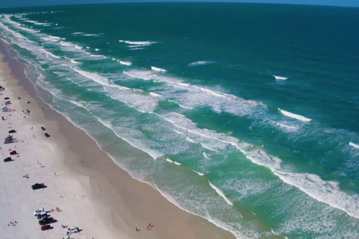 Aumentan los ataques de tiburones en playas de Estados Unidos