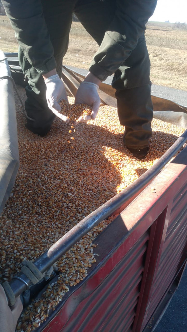 Incautaron un arma, municiones y 100 toneladas de cereales