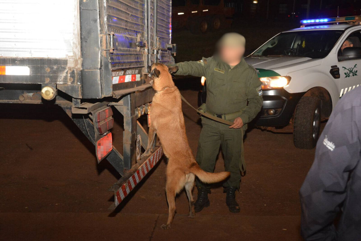 Interceptaron un camión frigorífico con más de 7.000 kilos de droga