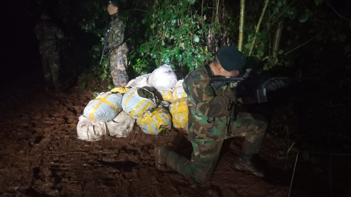 Descubren más de 500 kilos de marihuana escondidos en un monte