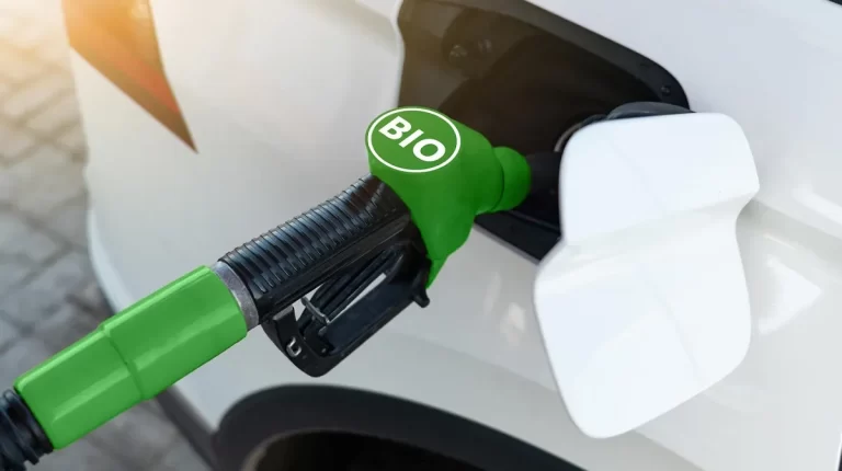 Senadores impulsan proyecto para aumentar el porcentaje de biocombustibles