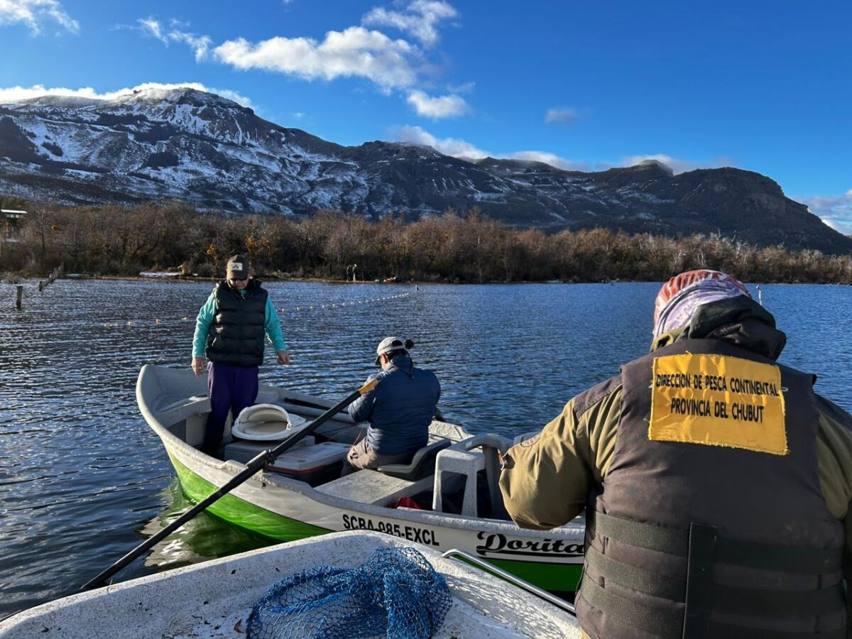 Campaña de desove en ambientes acuáticos de la cordillera