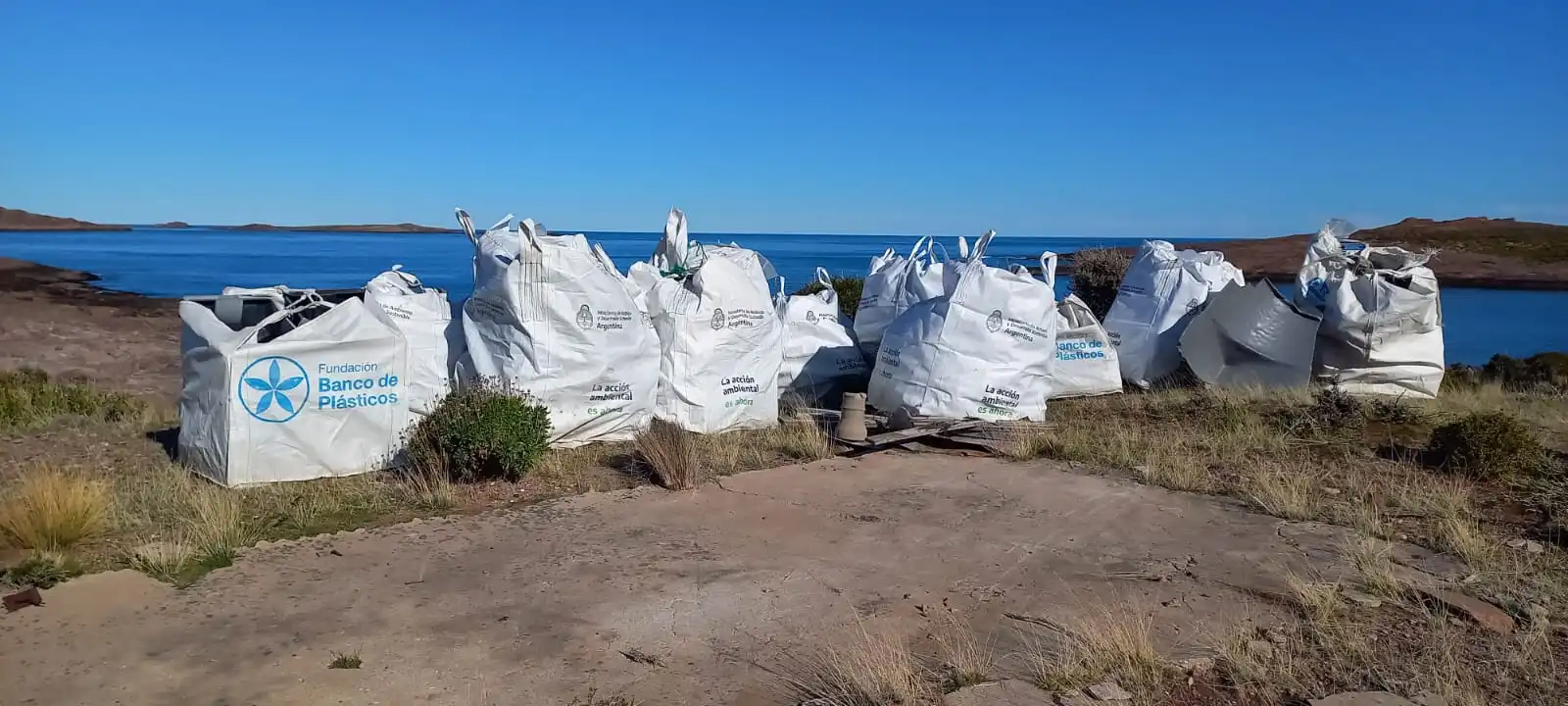Gran esfuerzo y colaboración en la campaña de limpieza en Isla Leones