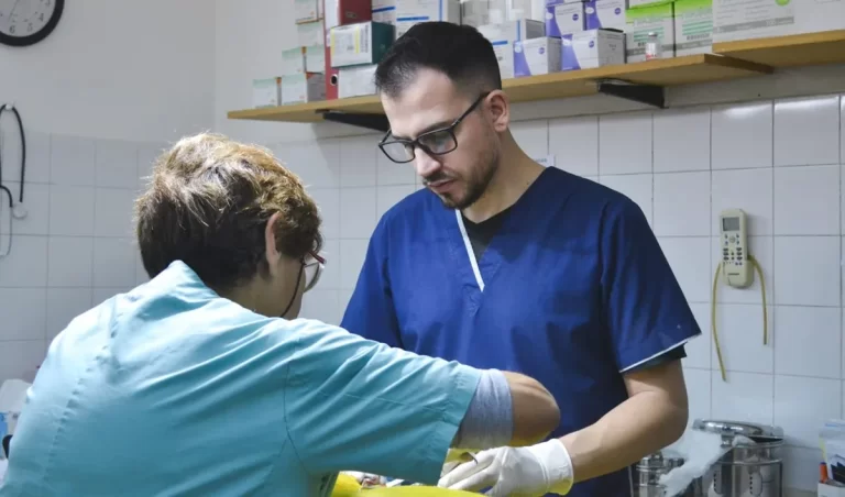 DATO | Nueva jornada gratuita de castración masiva en Rawson