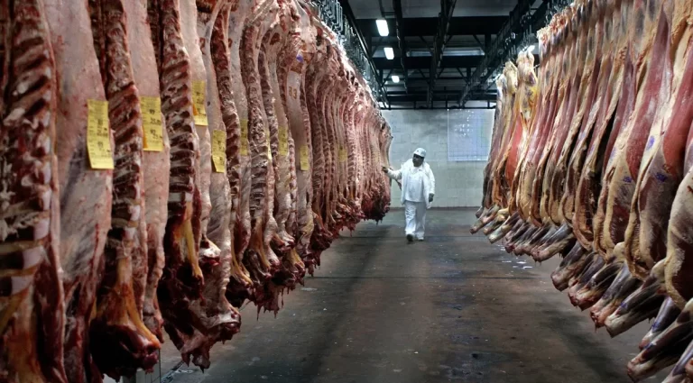 Argentina logra la autorización para exportar productos cárnicos a China