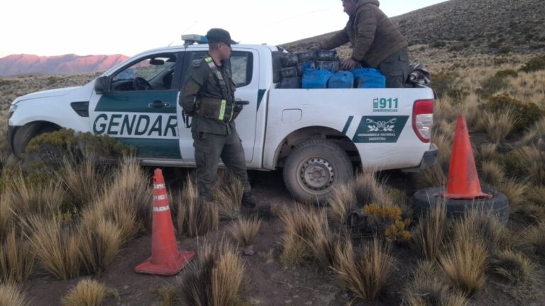 Abandonaron una camioneta con casi 470 kilos de hojas de coca