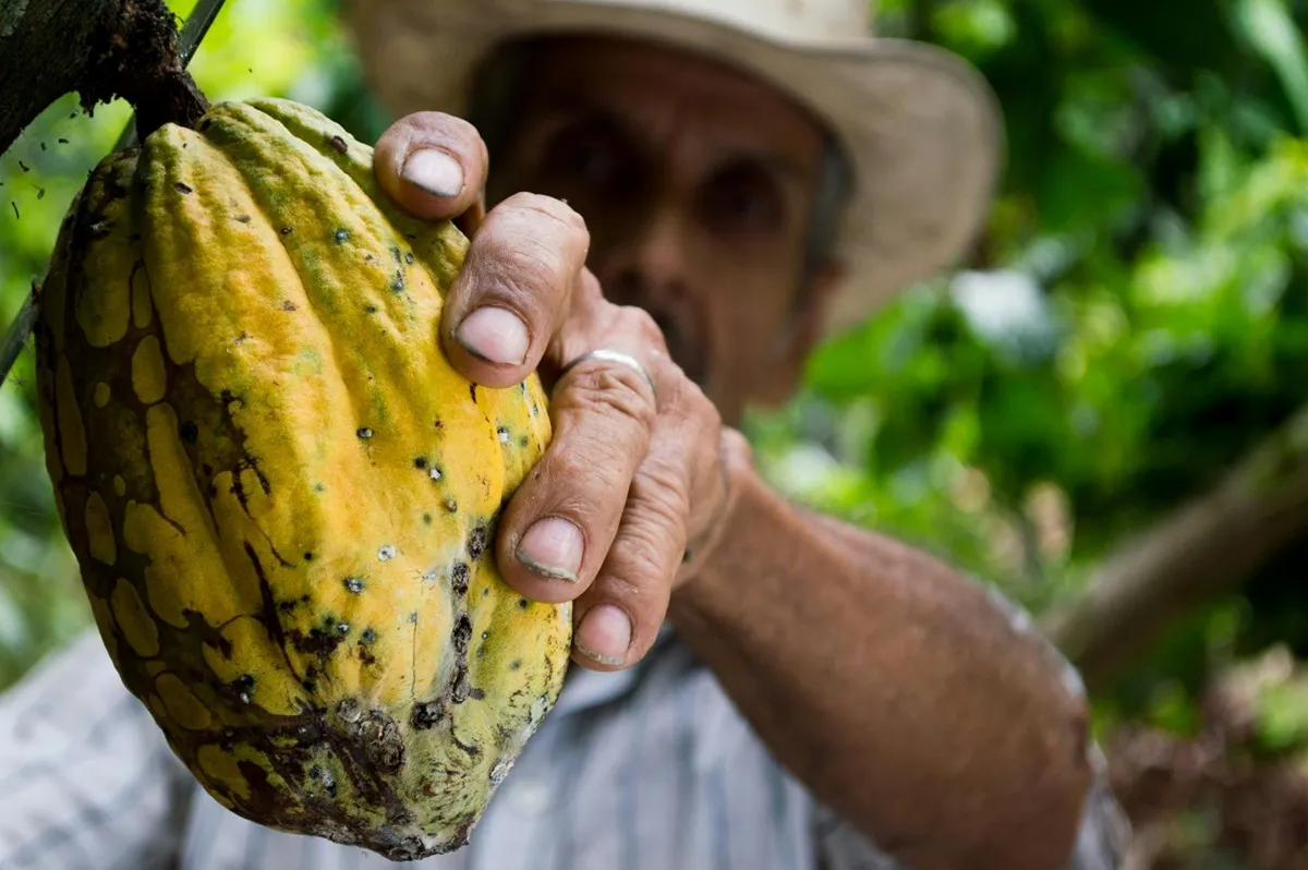 El mundo celebra el Día del Chocolate: Conocé su origen e importancia