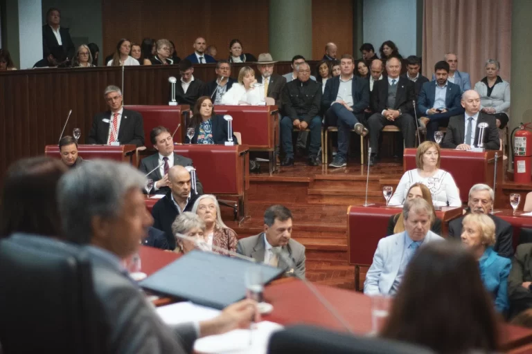 Biss acompañó el homenaje a los ex Convencionales Constituyentes