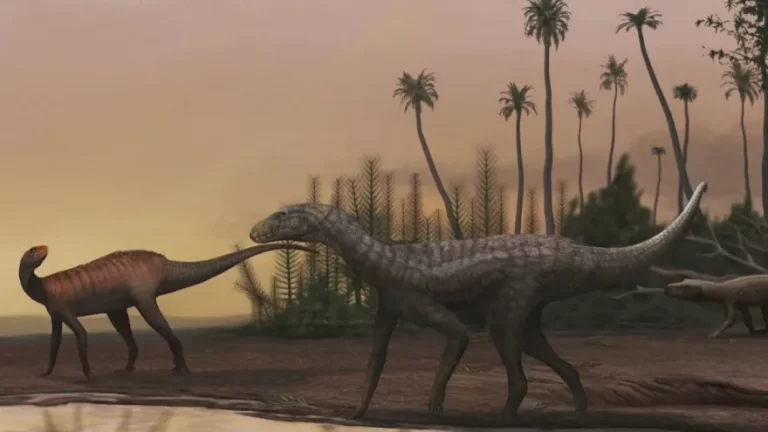 Descubren una especie de reptil en Brasil que podría revelar importantes secretos