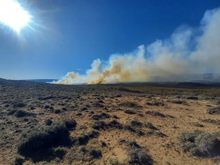 VIDEO | Combaten un importante incendio en Río Pico