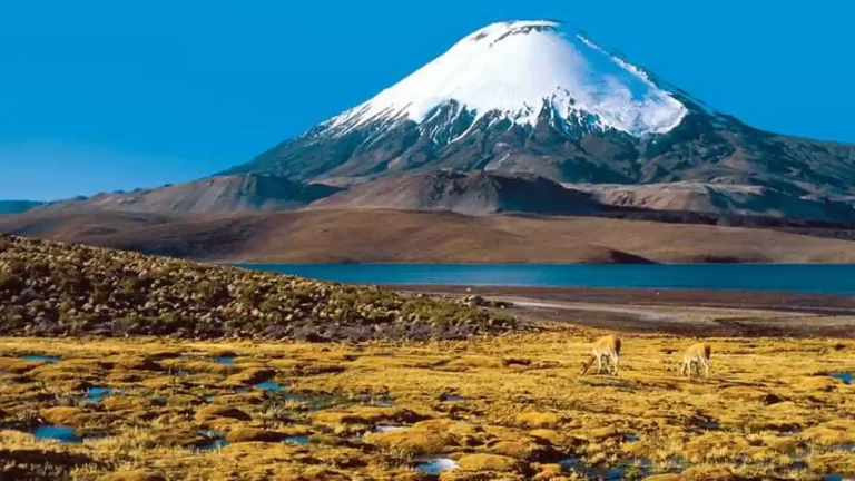 Ojos del Salado: El volcán activo más alto del mundo que atrae a los alpinistas