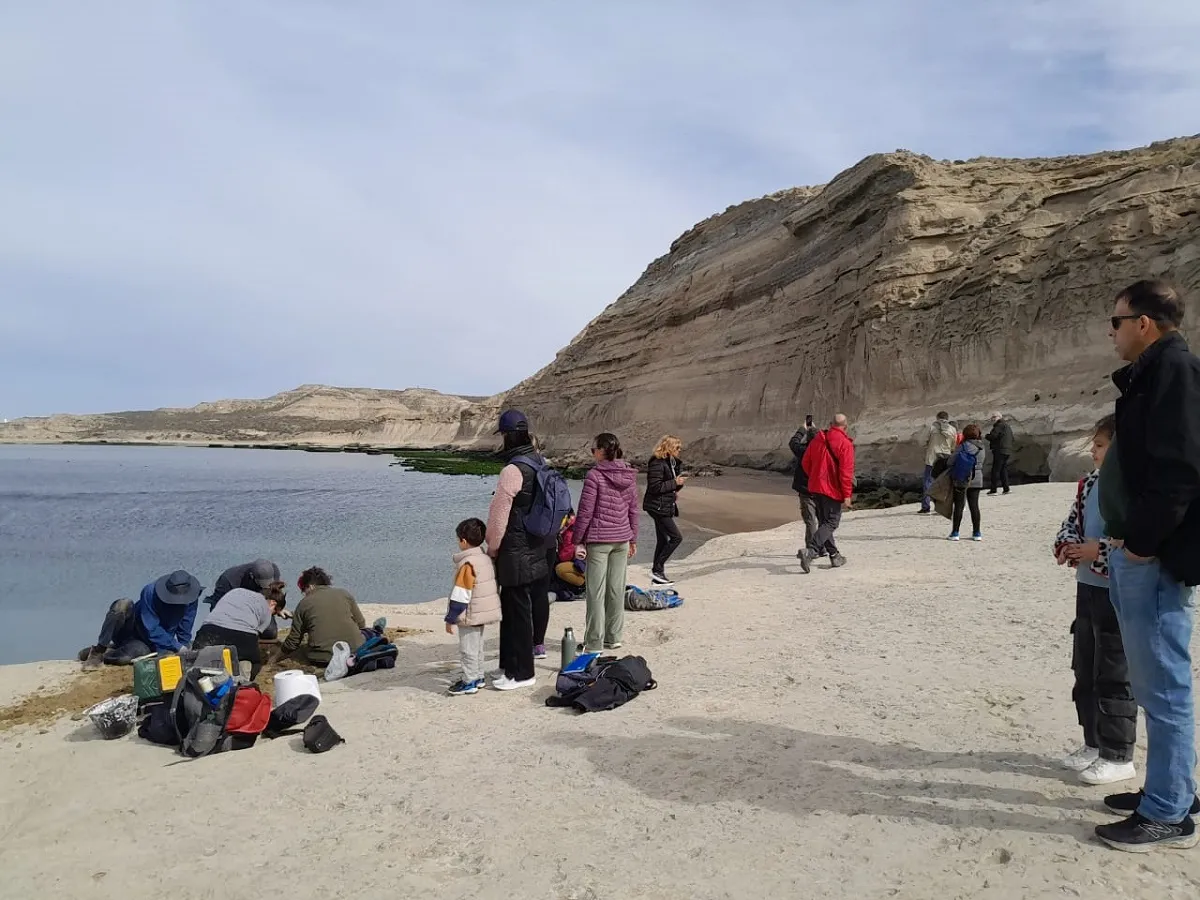 fósil de pez, paleontología, Puerto Pirámides, CENPAT, UNLP, cadena trófica, peces fósiles, ecosistemas marinos, geología patagónica, restinga, fósiles en Chubut, José Cuitiño, Soledad Gouiric Cavalli, teleósteos, perciformes, clima antiguo