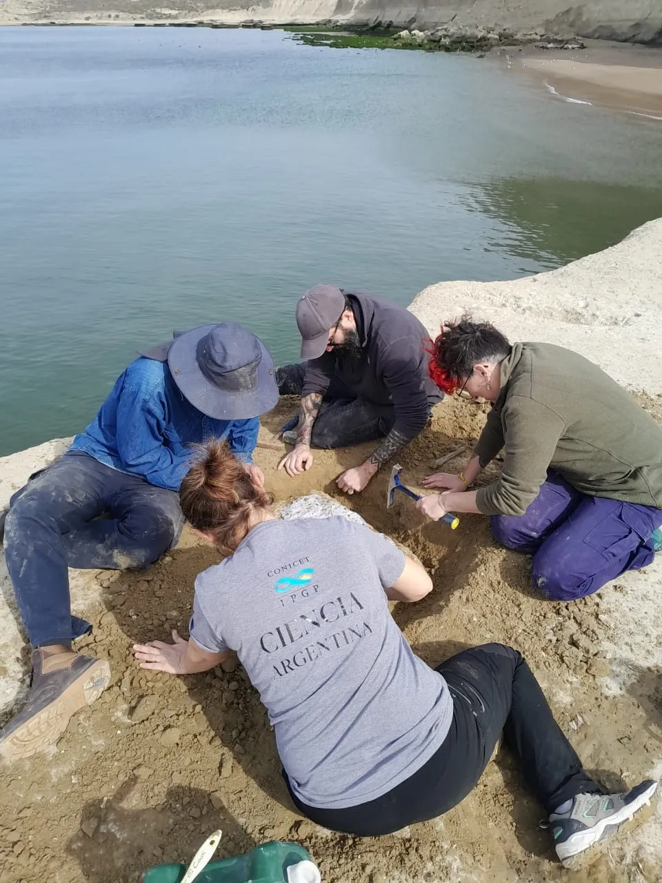 fósil de pez, paleontología, Puerto Pirámides, CENPAT, UNLP, cadena trófica, peces fósiles, ecosistemas marinos, geología patagónica, restinga, fósiles en Chubut, José Cuitiño, Soledad Gouiric Cavalli, teleósteos, perciformes, clima antiguo