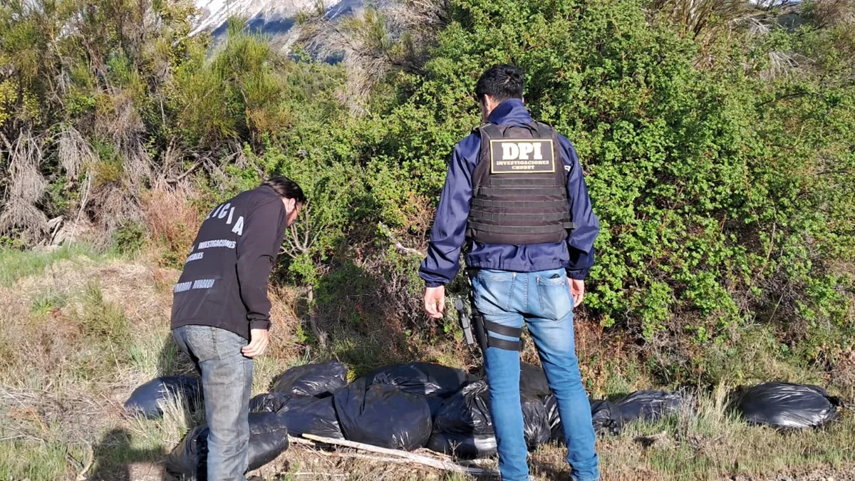 Evadieron un control y descartaron más de 500 kilos de carne de guanaco