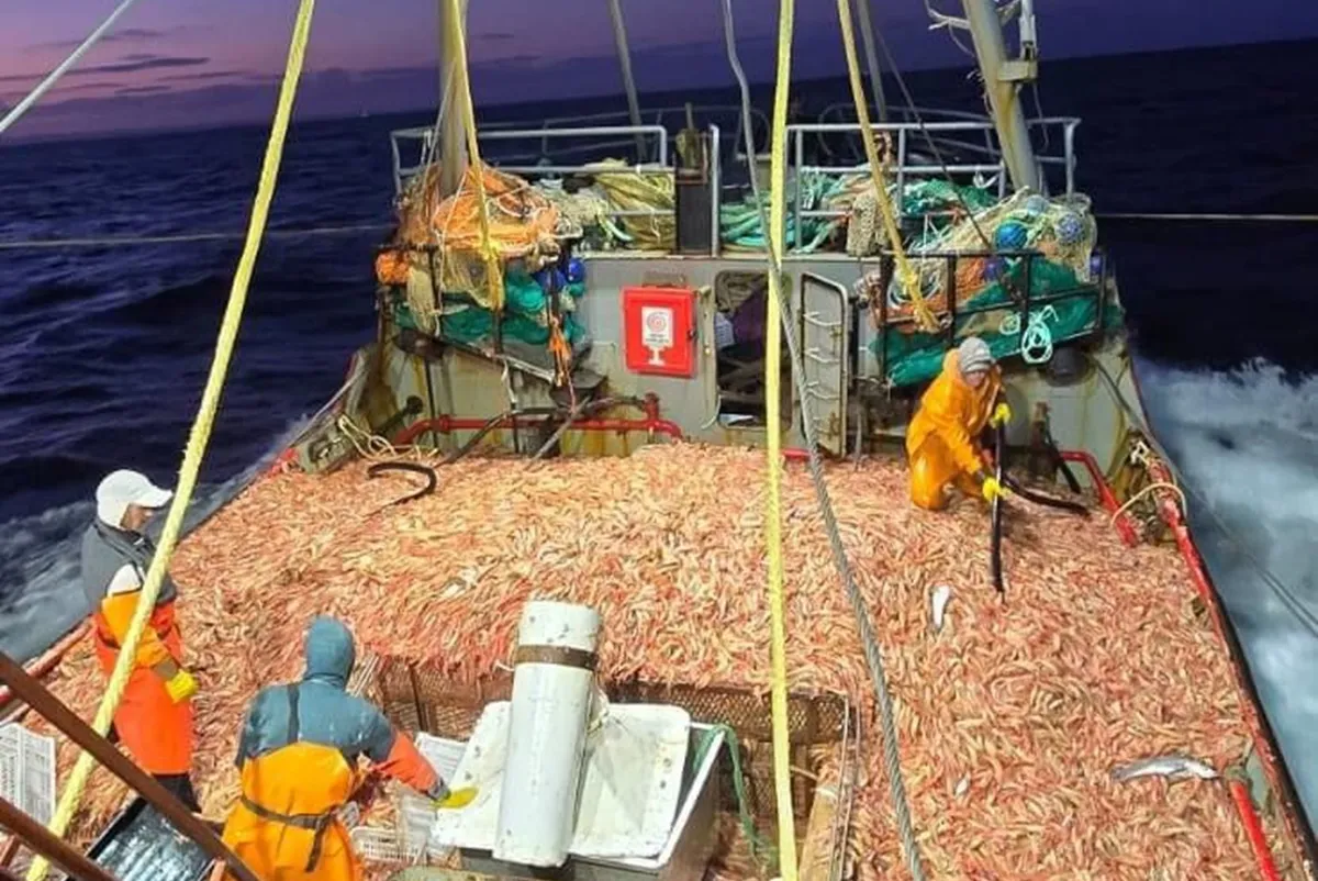 Torres: "Vamos a transitar una temporada de pesca récord"