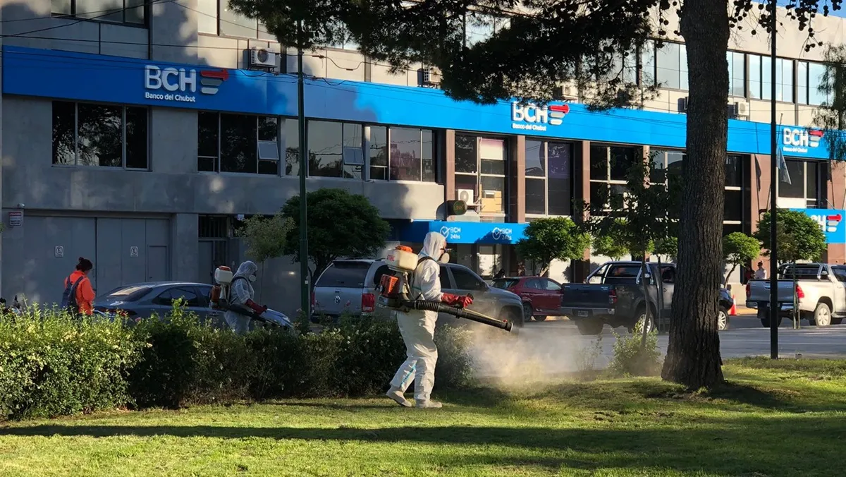 Bromatología Municipal Rawson realiza operativos de fumigación preventiva
