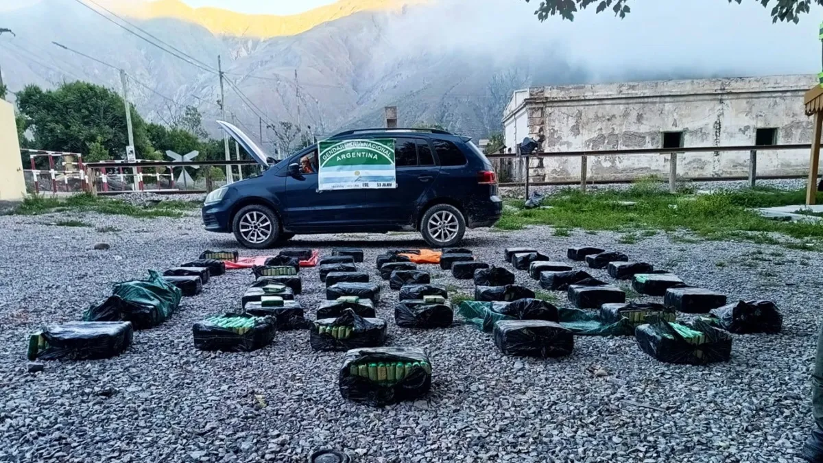 Gendarmería incautó más de 427 kilos de hojas de coca en dos operativos