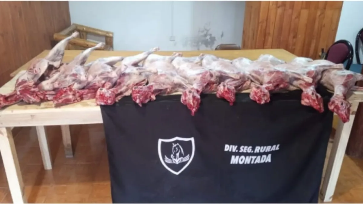 Interceptan un vehículo que transportaba corderos faenados irregularmente
