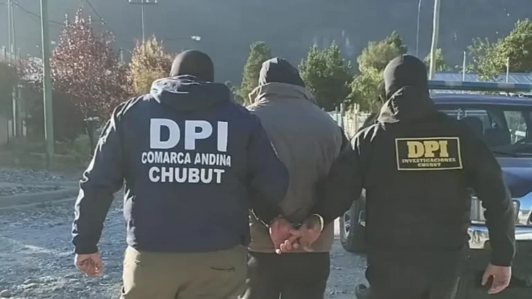 Cinco detenidos por abigeato tras allanamientos en la Comarca Andina