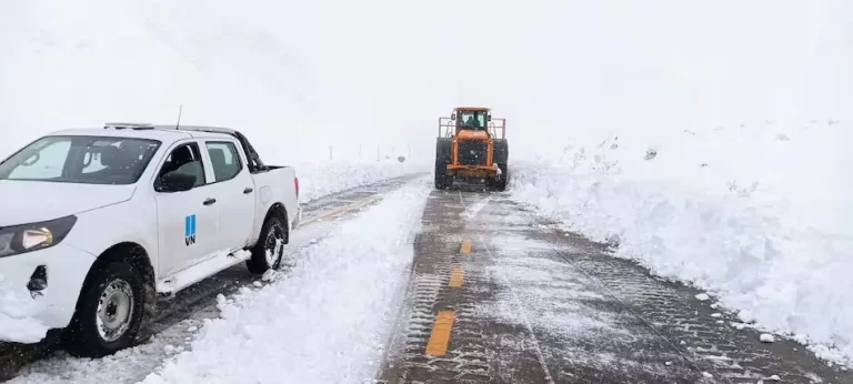 El SMN emitió una alerta amarilla de nevadas para tres provincias