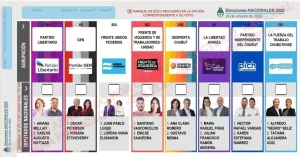 Boleta Única de Papel en Chubut