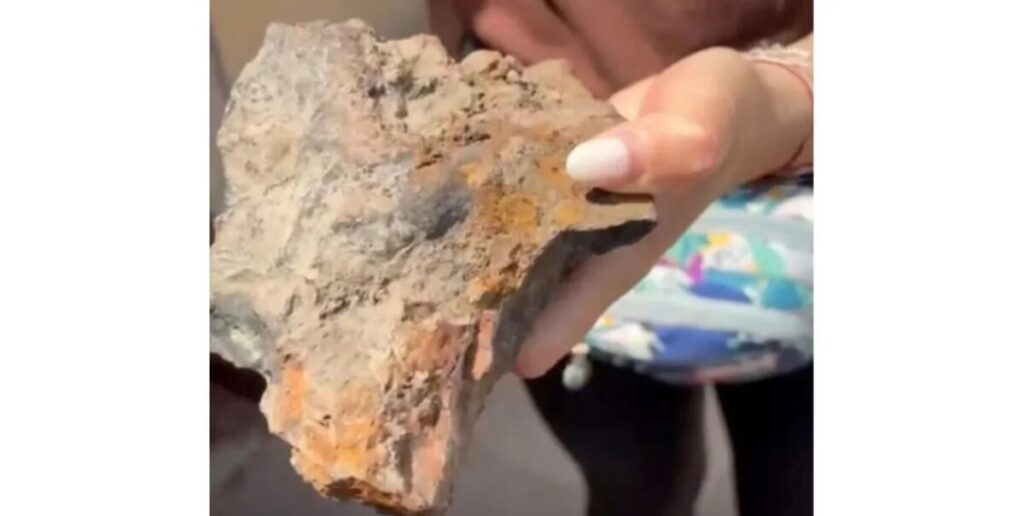 meteorito, Chaco, Gancedo, hallazgo científico, niño descubre meteorito, Campo del Cielo, Reserva Natural, análisis meteorito, preservación científica, objeto espacial, curiosidad científica, noticias Argentina, ciencia, hallazgos espaciales, investigación científica