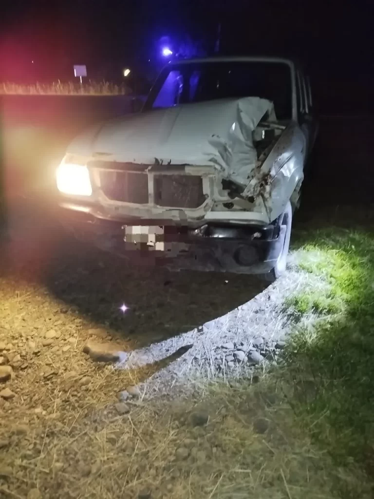 accidente vial, Ruta 259, Trevelin, Esquel, caballo suelto, Ford Ranger, impacto frontal, policía del Chubut, seguridad vial, animal en la ruta, familia ilesa, choque con equino, La Calera, tránsito, intervención policial