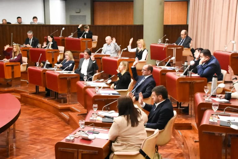 La Legislatura aprobó un proyecto para restringir el uso de los celulares en las escuelas