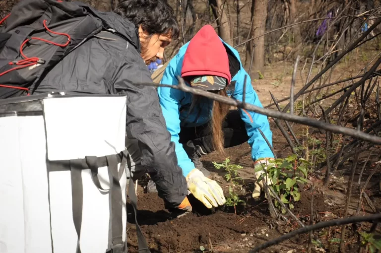 La Comarca Andina será sede de un Congreso Nacional de Restauración Forestal Comunitaria