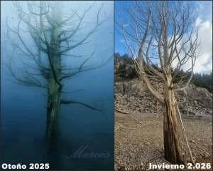 Foto: alertarojaambiental_chubut (Instagram).