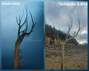 Foto: alertarojaambiental_chubut (Instagram).